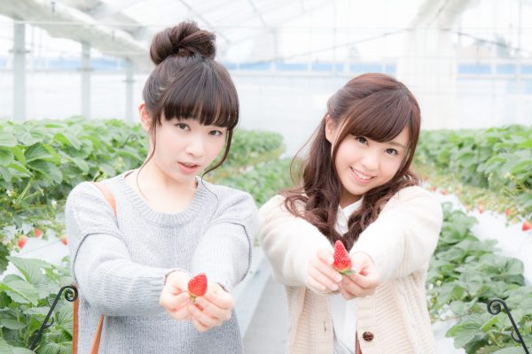 シーブリーズ　シンデレラ　オーディション　倍率